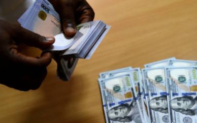 Nigerian Currency Slumps to New Low Against US Dollar