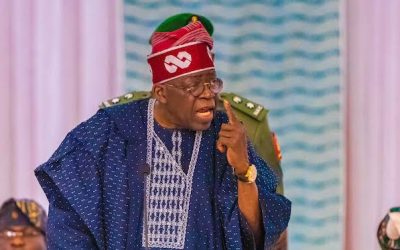 Tinubu Warns Against Suffocating Local Government Administration